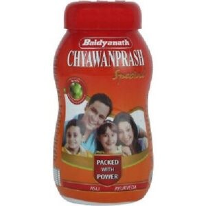 Baidyanath Chyawanprash 500g