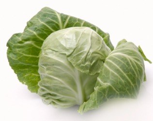 Cabbage