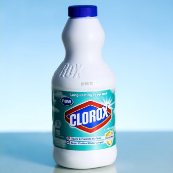 Clorox 887ml