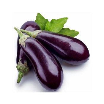 Eggplant American