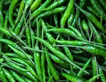 Green Chilli