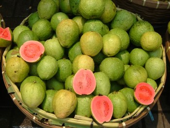 Guava Small
