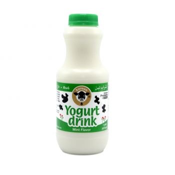 Karoun Yogurt Drink Mint Pint