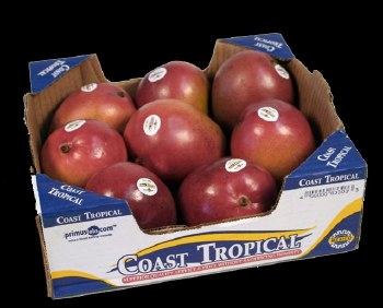 Mango Haden box