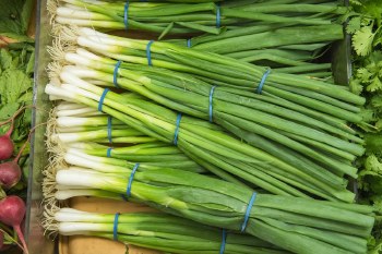 Onions Green