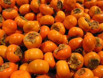 Persimmon