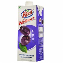 Dabur Real Jamun Juice 160ml