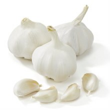 Garlic Loose