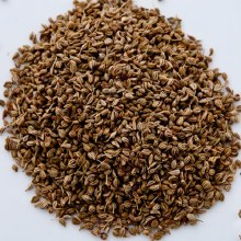 Gazab Ajwain Seeds 100g