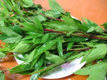 Gongura