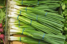 Onions Green