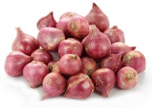 Onions Shallot