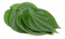 Pan Leaves