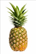 Pine apple