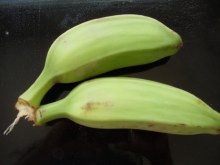 Plantain Small