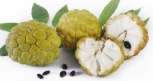 Sitafal(Custard Apple)