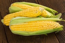 Sweet Corn