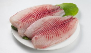 Tilapia Fillet