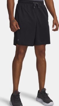 UA Tech Mesh Shorts S Black