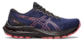 Asics Gt 2000 11 GTX 5.5 Blue/
