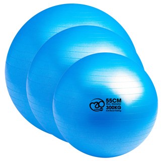 Anti-Burst Swiss Ball 65cm Blu