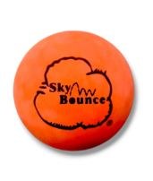 Skybounce One Wall Handball Or