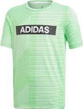 Adidas TR BR Tee 9/10 Green/wh