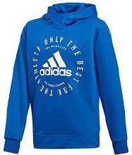 Adidas Sid PO Hoody 5/6 Blue/w