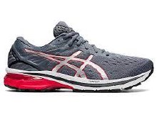 Asics GT-1000 10 9 Metropolis/