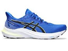 Asics Gt-2000 12 Mens 8.5 Blue