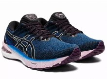 Asics Gt 2000 10 6 Lake Drive/