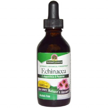 Echinacea