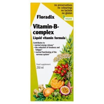 Floradix | Vitamin B Complex