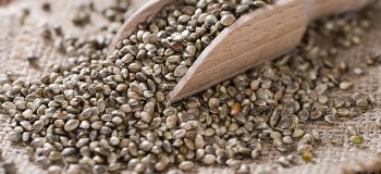 Hemp Seeds Organic 250g