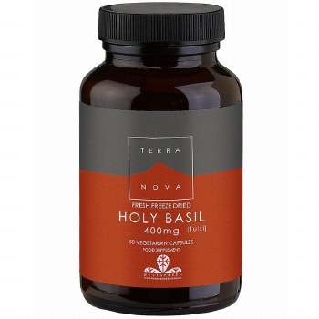 Holy Basil - Tulsi