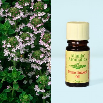 Atlantic Aromatics | Thyme Linalool | 5ml