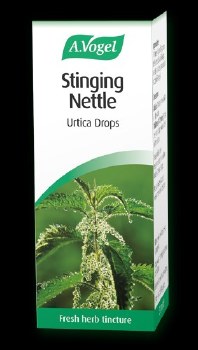 Urtica Dioica Stinging Nettle