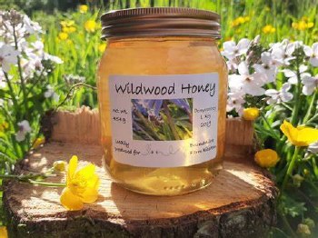 Wildwood Honey