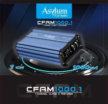 CFAM1000.1