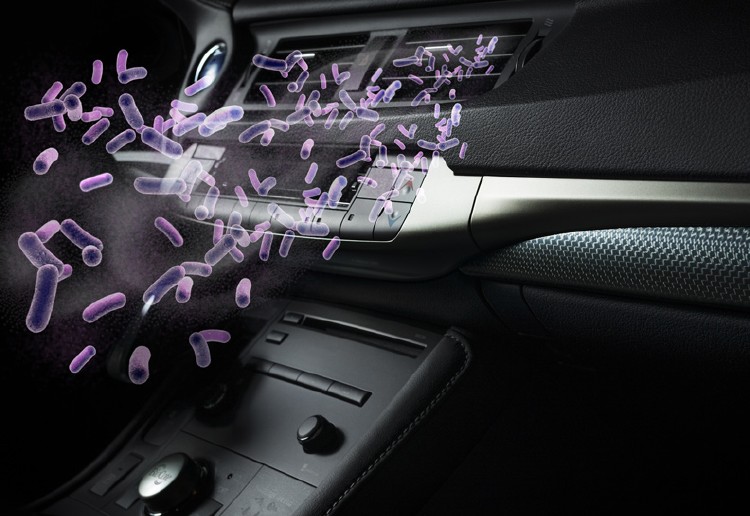 COMPLETE CAR TREATMENT