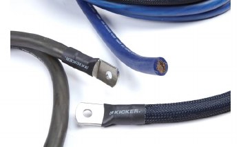 Additional picture of 46PKD1