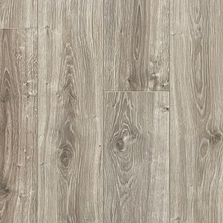 WATER-RESIST - SEA SHELL