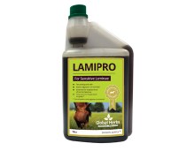 Global Herbs Laminitis Prone Liquid 1Litre