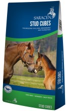 Saracen Stud Pencils 20kg