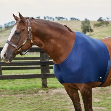 Weatherbeeta Stretch Shoulder Guard In Navy Size Pony