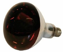 Stockshop Screw In Bulb 175w Infrared