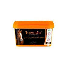 Golden Paste Turmer Aid 2kg