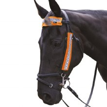 HY Equestrian Bridle Set In Orange