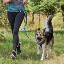 Trixie Waist Belt With Leash For Small To Medium Sized Dogs