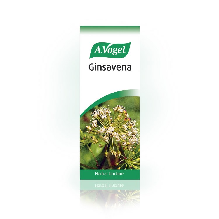 A.Vogel Ginsavena Oat Seed and
